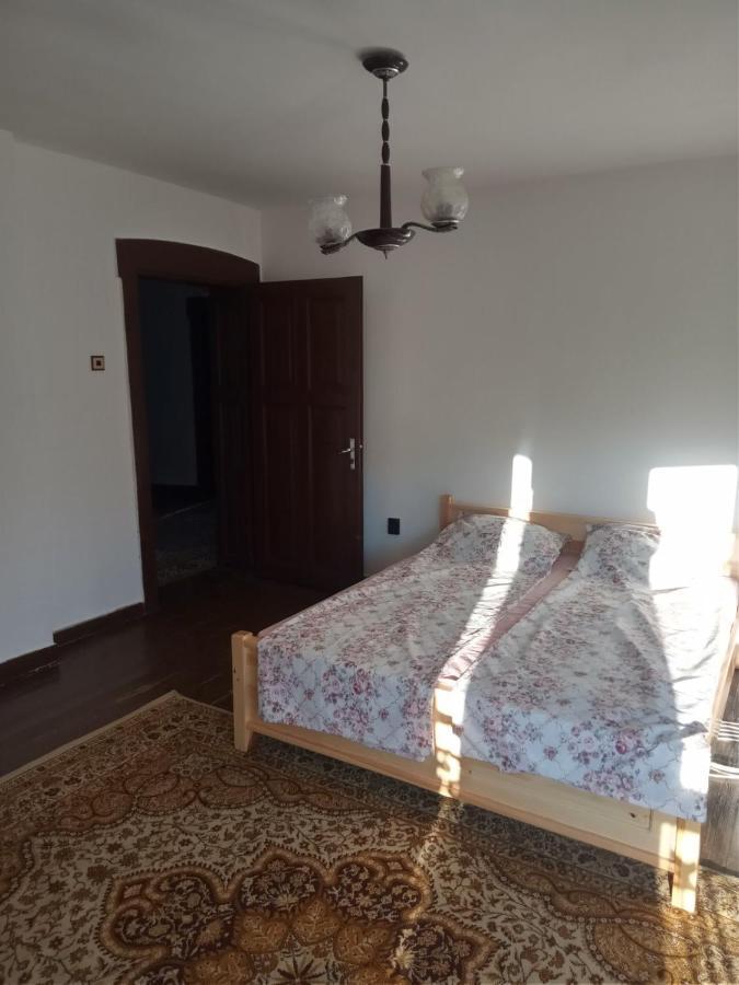 Mercury Guest house *