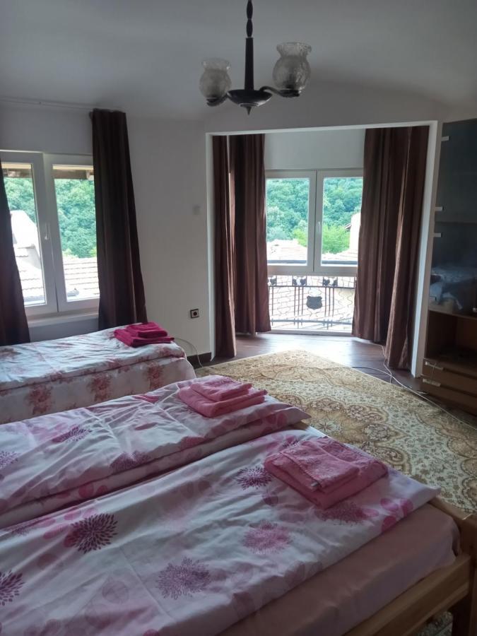Mercury Guest house *