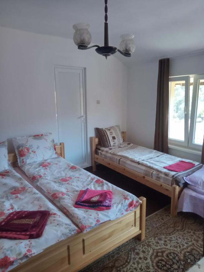 Guest house Mercury